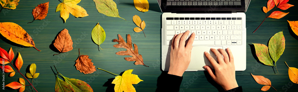 Autumn leaves with person using a laptop computer from above