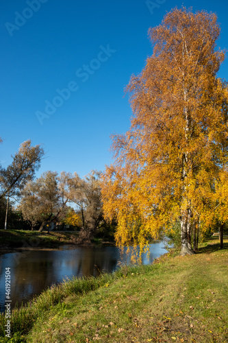 Yellow autumn leaves against the blue sky. Trees and branches dressed in gold. Autumn. Day. Sunny. Russia.