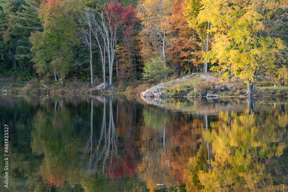 Autumn Trees Reflected in Water