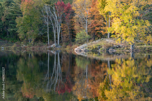 Autumn Trees Reflected in Water