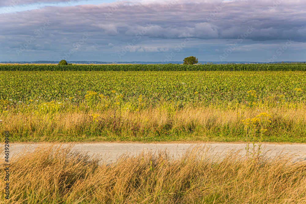 Fototapeta premium View of the countryside near Mont Saint Michel, between Normadia and Brittany, in France
