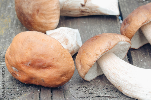 white mushroom (Bolétus edúlis) lying on the table, close-up