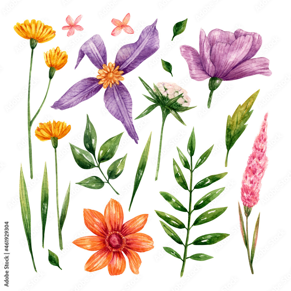 Flowers clipart in watercolor Flowers clipart in watercolor