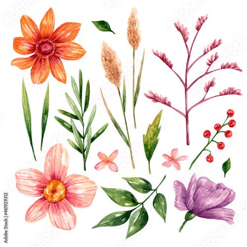 Flowers clipart in watercolor