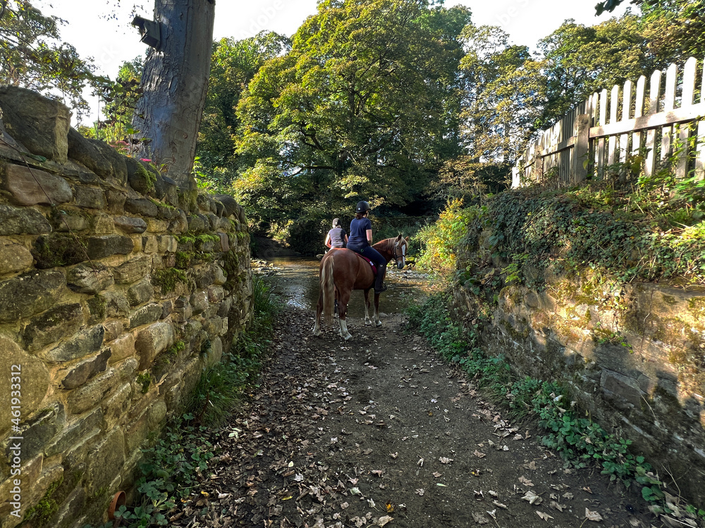 Late afternoon, with the horses by, Beckfoot Ford near, Bingley, Yorkshire, UK
