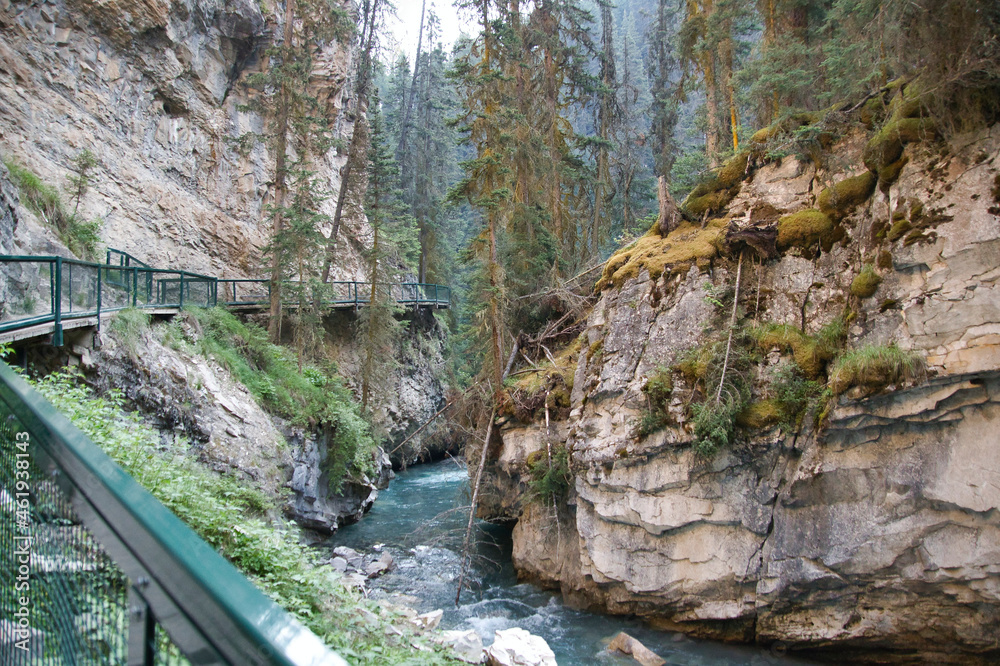 The canyon section of Johnston Canyon. Banff National Park, Alberta, Canada
The canyon section of Johnston Canyon. Banff National Park, Alberta, Canada