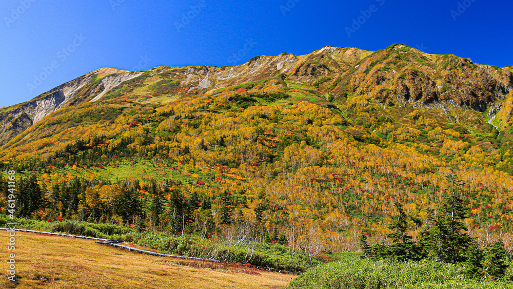 北アルプスの秋　紅葉の栂池自然園トレッキング　白馬岳