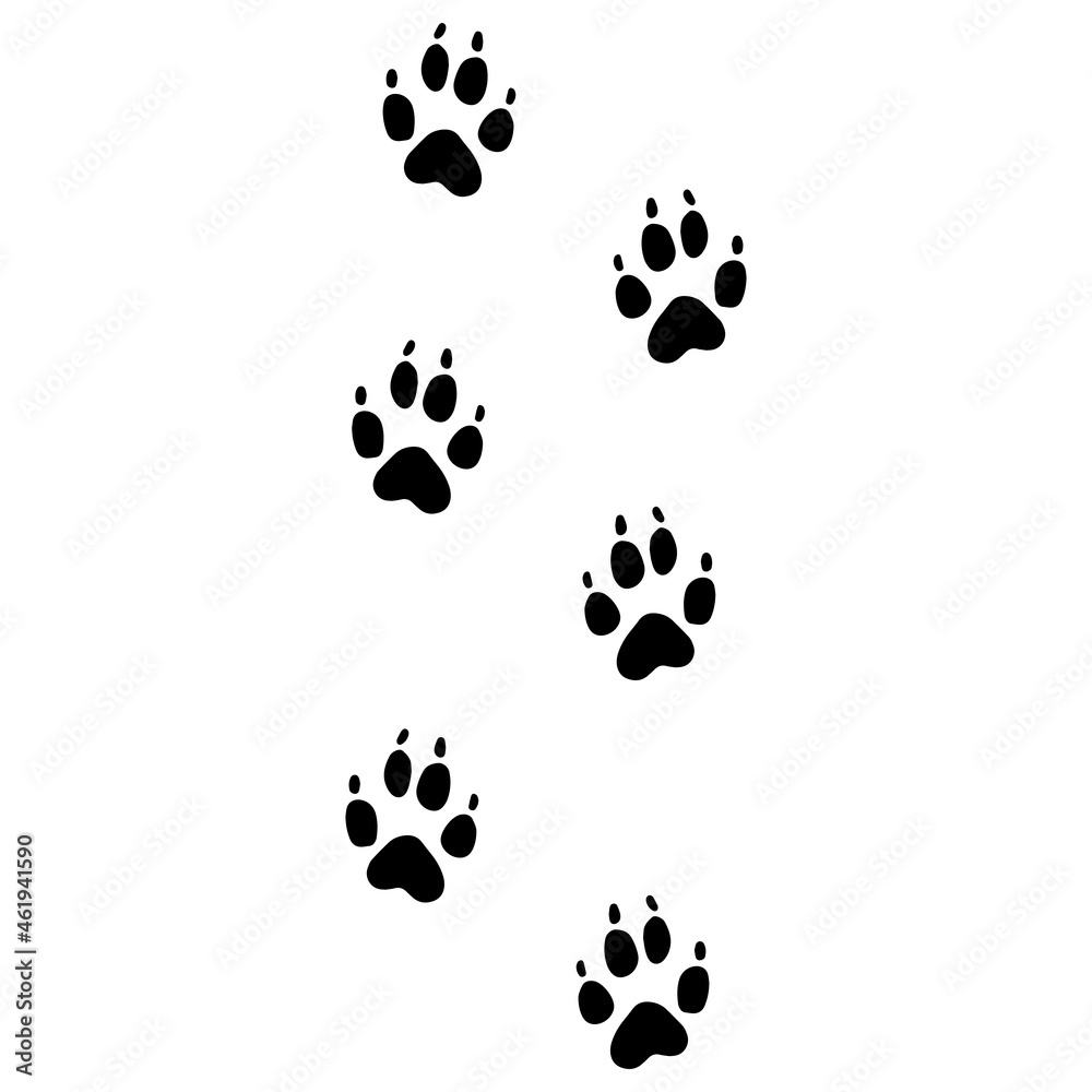 Vector of Dog's footprints, editable file for all of your graphic needs. Vector of Dog's footprints, editable file for all of your graphic needs.