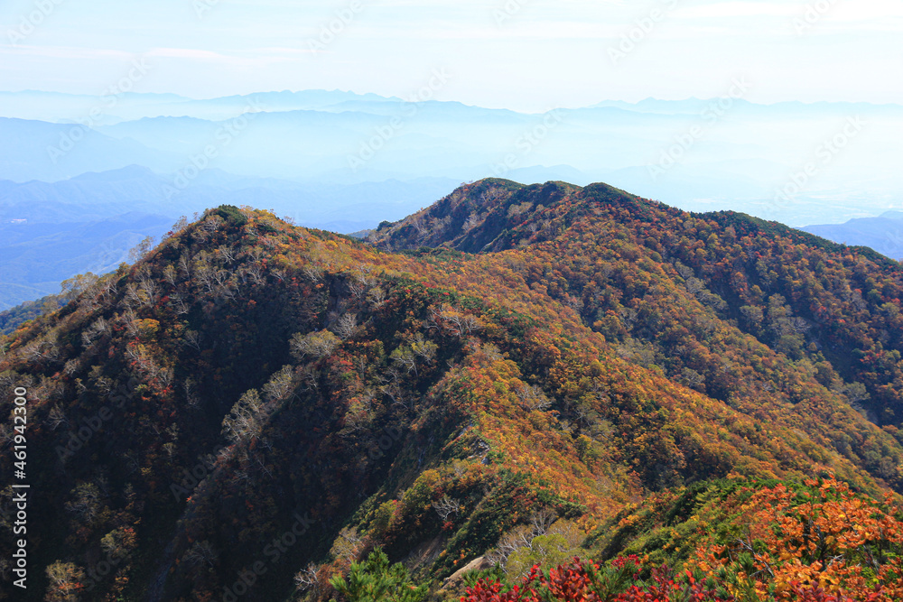 北アルプスの秋　紅葉の五竜遠見　小遠見山から八ヶ岳、富士山を望む