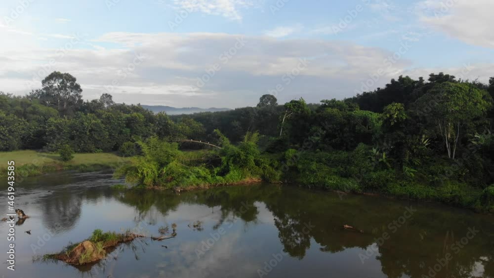Aerial view nature sunrise morning green tree forest with river against blue sky Aerial view nature sunrise morning green tree forest with river against blue sky