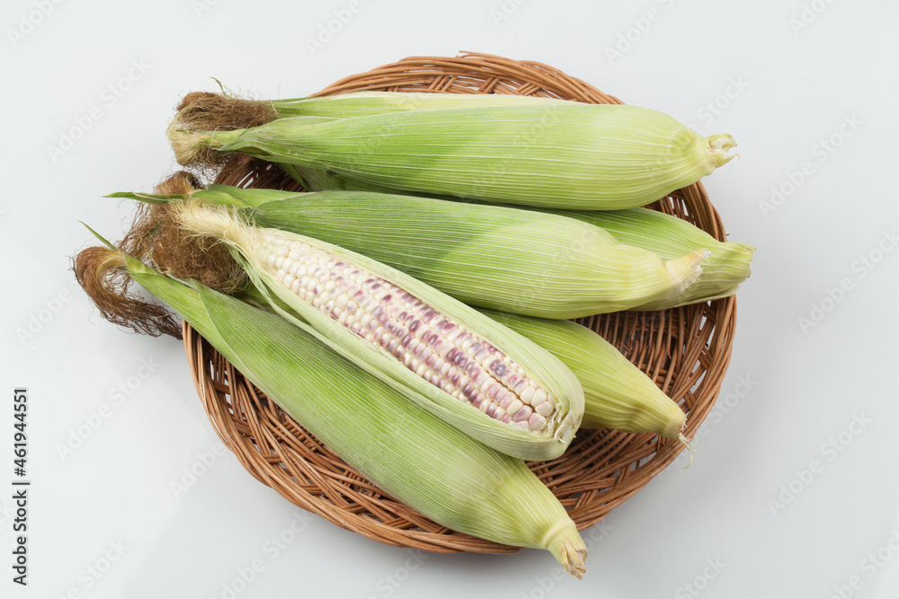 옥수수,여름,간신