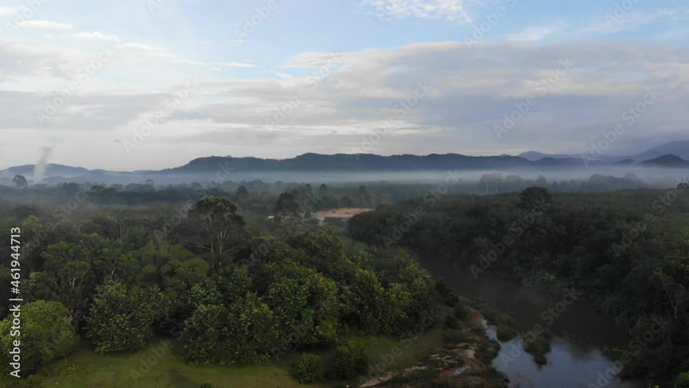 Aerial view nature sunrise morning green tree forest with river against blue sky Aerial view nature sunrise morning green tree forest with river against blue sky