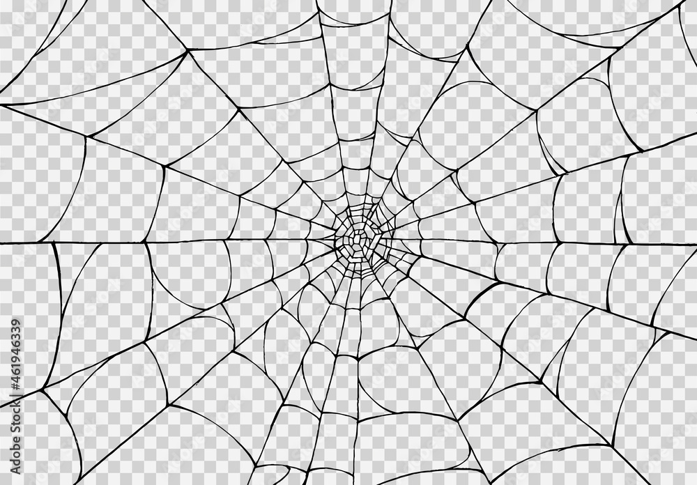 Halloween party background with spiderwebs isolated png or transparent texture,blank space for text,element template for poster,brochures, online advertising,vector illustration
