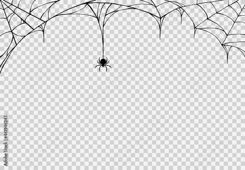 Spider hanging from spiderwebs isolated png or transparent texture, Halloween party background,blank space for text,element template for poster,brochures, online advertising,vector illustration