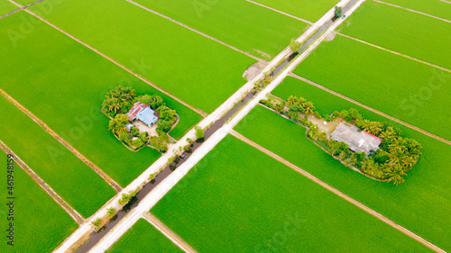 Beautiful Terraced rice field in water season and Irrigation from drone,Top view of rices paddy field, Malaysia photo