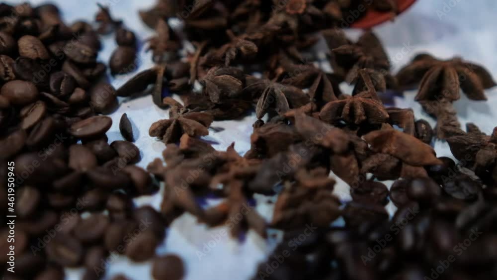 Small piles of coffee beans and star anise seeds on white surface Small piles of coffee beans and star anise seeds on white surface