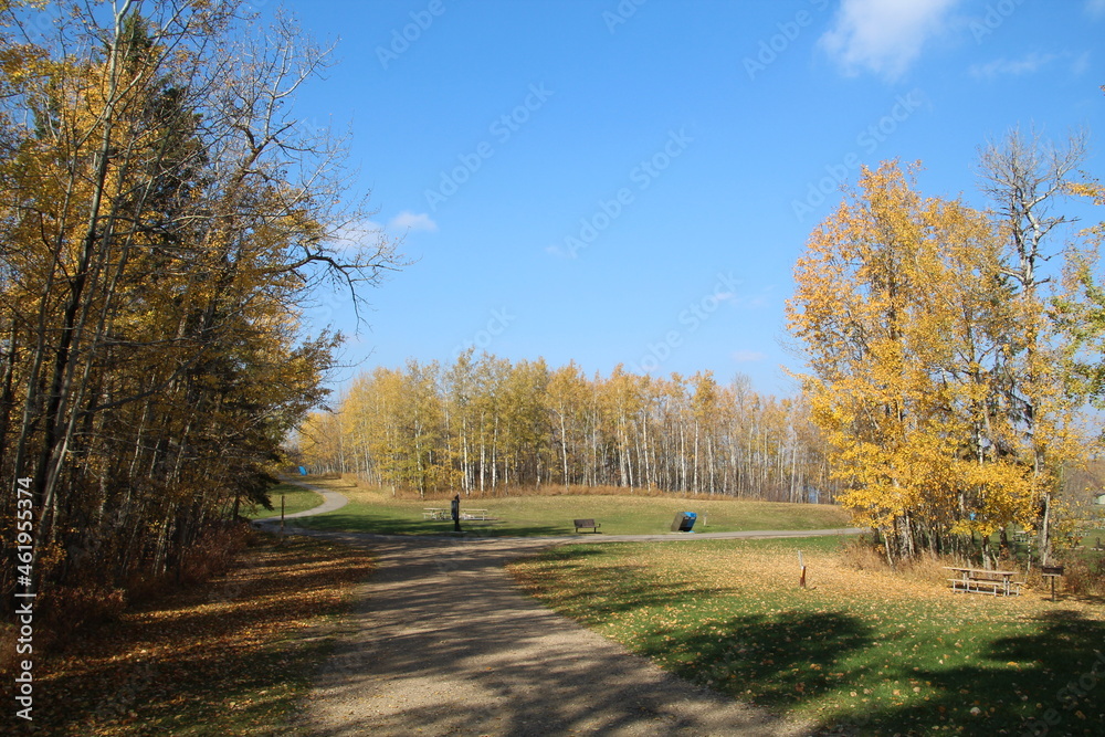 Fall Colors On The Land, Elk Island National Park, Alberta