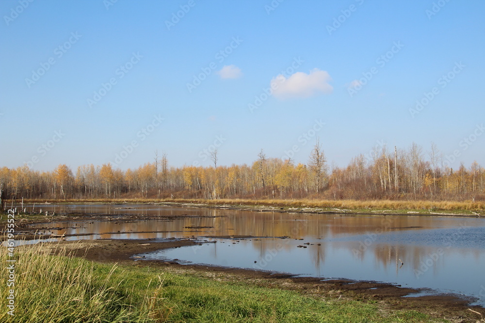 October On The Wetlands, Elk Island National Park, Alberta