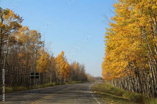 Autumn By The Road  Elk Island National Park  Alberta