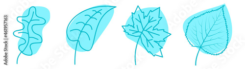 autumn leaves
