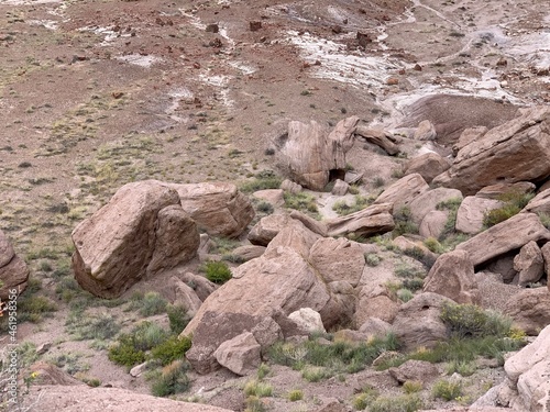 stone in the desert
