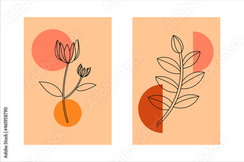 Vector set of boho wall art. Trendy pictures with plants and abstract organic shapes. Botanical illustration