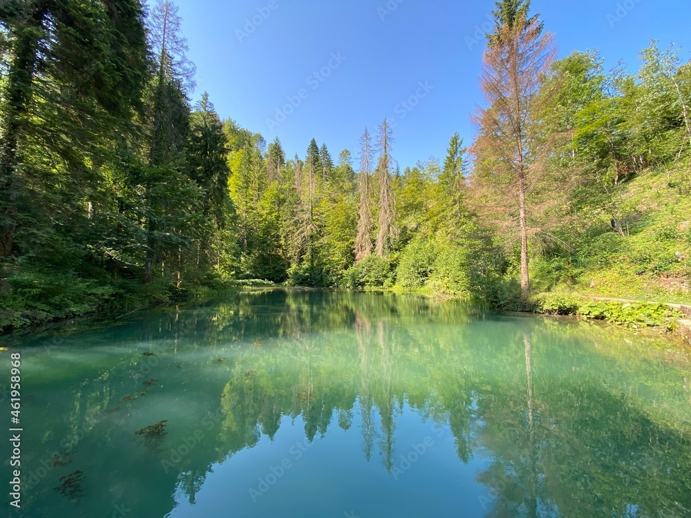 Small forest spring Čogrljevo Lake or Čogrlje's Lake in the hamlet of Tići - Gorski kotar, Croatia (Goransko šumsko jezerce i izvor Čogrljevo jezero u zaselku Tići - Gorski kotar, Hrvatska)