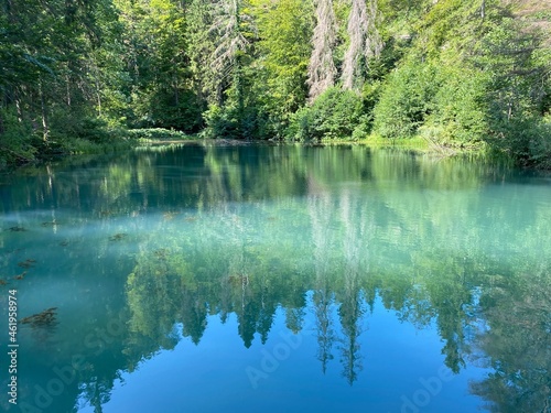 Small forest spring Čogrljevo Lake or Čogrlje's Lake in the hamlet of Tići - Gorski kotar, Croatia (Goransko šumsko jezerce i izvor Čogrljevo jezero u zaselku Tići - Gorski kotar, Hrvatska)