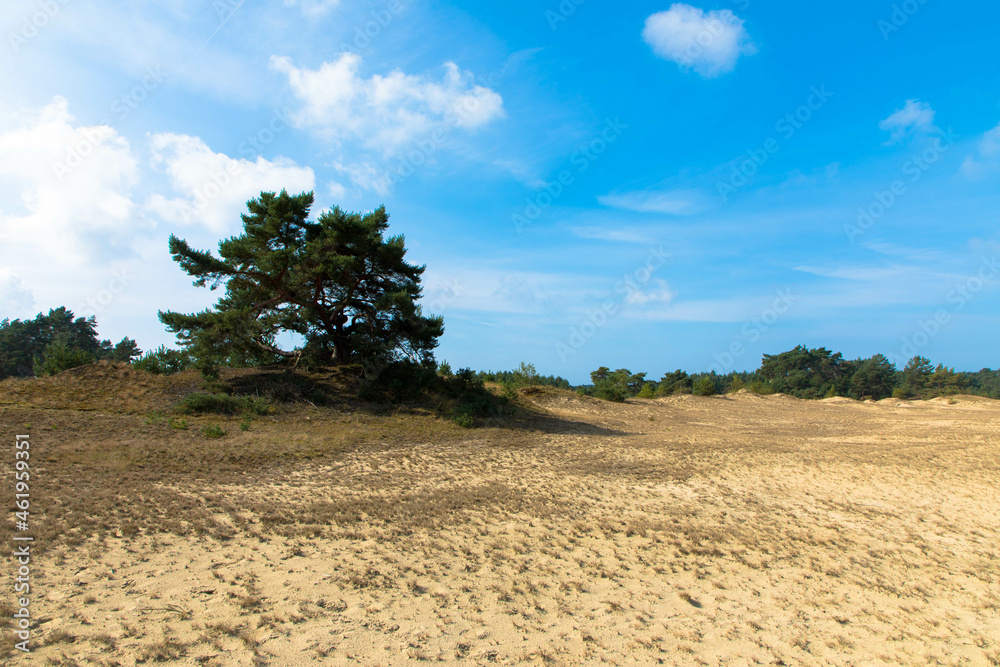 Zuiderbosch and Hulshorsterzand are part of the Veluwe, one of the largest natural areas in the Netherlands. This is one of the few large connected drift sand areas in the Netherlands. Zuiderbosch and Hulshorsterzand are part of the Veluwe, one of the largest natural areas in the Netherlands. This is one of the few large connected drift sand areas in the Netherlands.