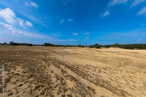 Zuiderbosch and Hulshorsterzand are part of the Veluwe, one of the largest natural areas in the Netherlands. This is one of the few large connected drift sand areas in the Netherlands. 