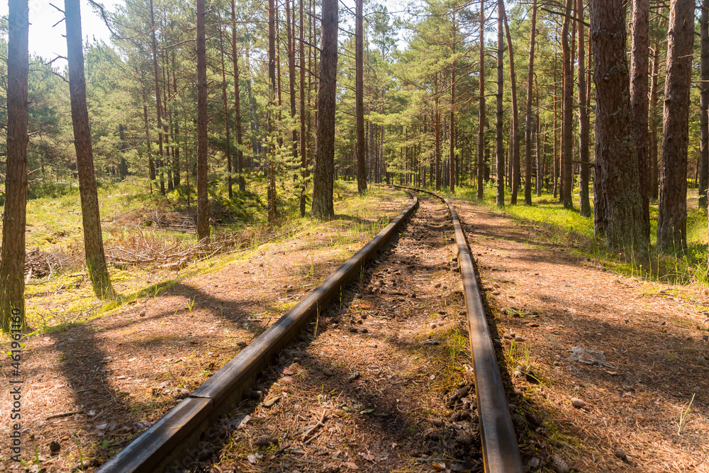 Narrow-gauge railway tracks curve in the forest at summer time. Narrow-gauge railway tracks curve in the forest at summer time.
