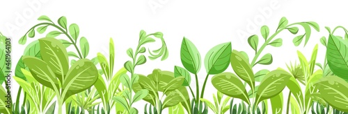 Green light tropical herbs and bushes. Horizontal seamless composition. Jungle meadow. Shoots of palms and plants. Funny cartoon style. Isolated on white background. Vector.