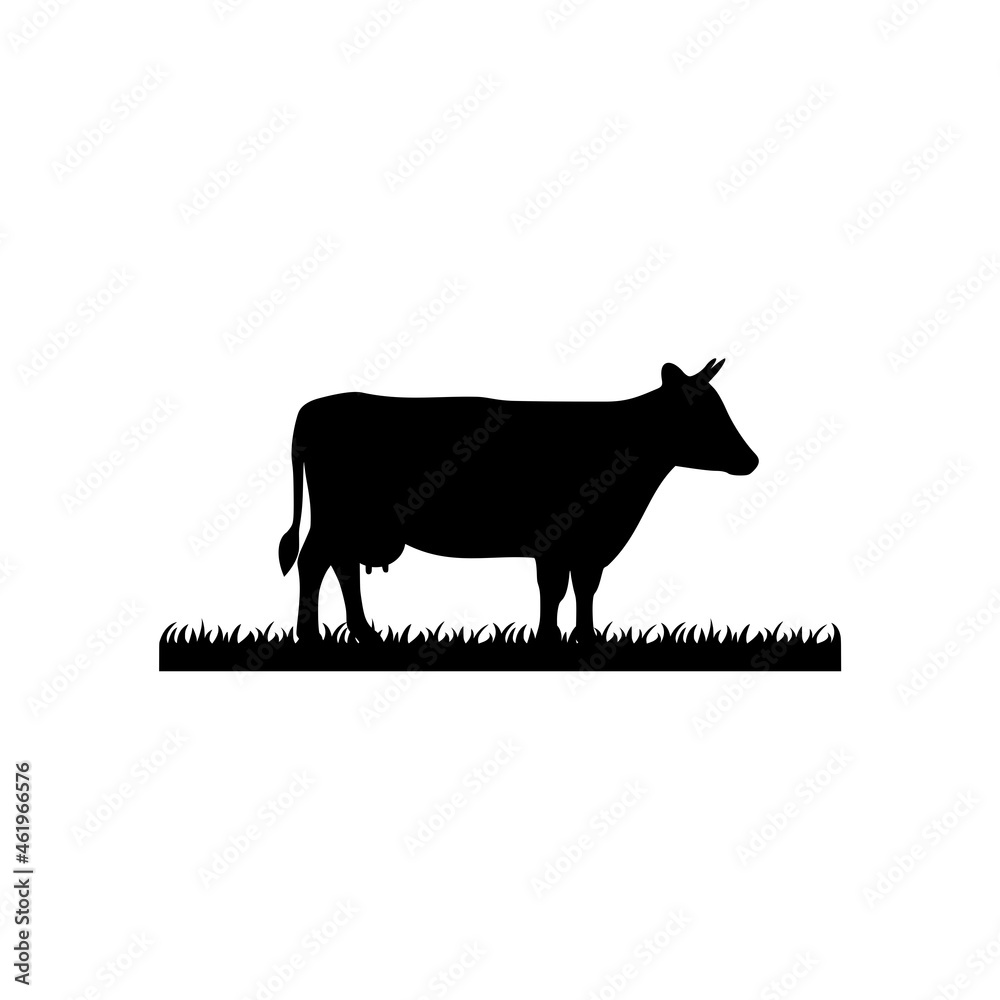 Cow for an icon or symbol isolated on white background Cow for an icon or symbol isolated on white background