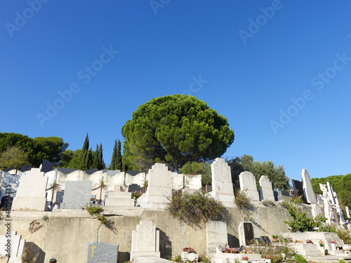 Panorama of a district of the Saint Pierre cemetery in Marseille.