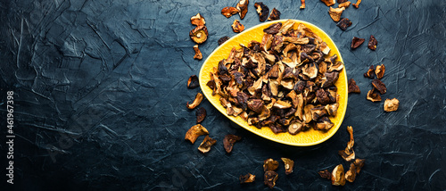 Forest dried mushrooms,long banner