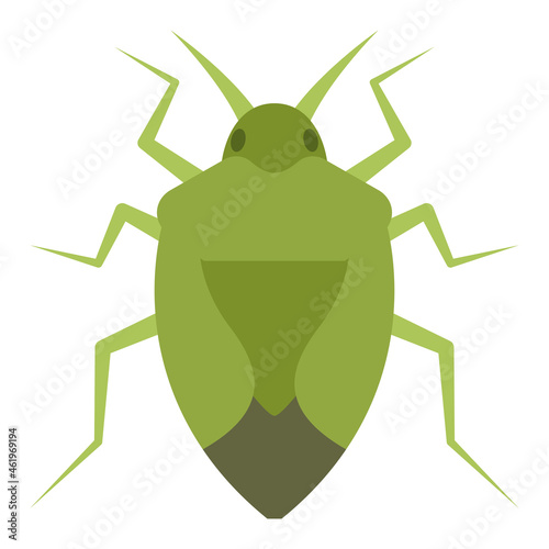 Flat color icon for stink bug. photo