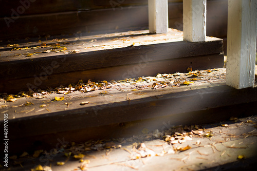 Old steps in autumn leaves and the rays of the sun. © Олеся Голубенко