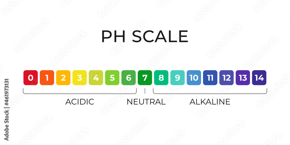 pH value scale chart for acid-alkaline solution. Acid-base balance infographic isolated on white background. Indicator for concentration of hydrogen ion in solution. Vector illustration pH value scale chart for acid-alkaline solution. Acid-base balance infographic isolated on white background. Indicator for concentration of hydrogen ion in solution. Vector illustration