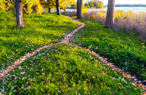 Two paths, covered with fallen autumn leaves, merged into one among the grass and trees by the river.