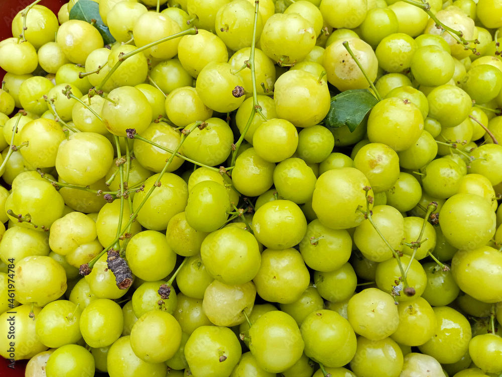 tasty and healthy star gooseberry stock on shop tasty and healthy star gooseberry stock on shop