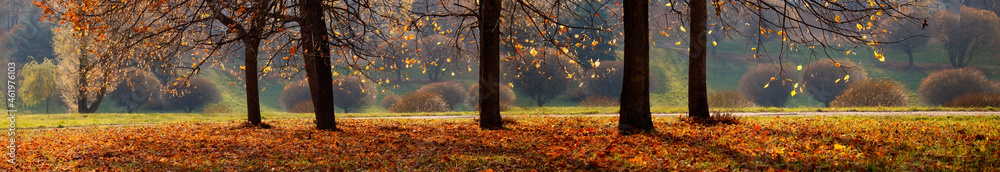 Beautiful Panoramic Autumn header - obrazy, fototapety, plakaty 
