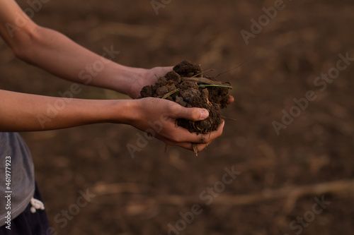 Farmer show a compacted soil at uncultivated fields. Bad soil the impacted of continue use of chemical fertilizer.