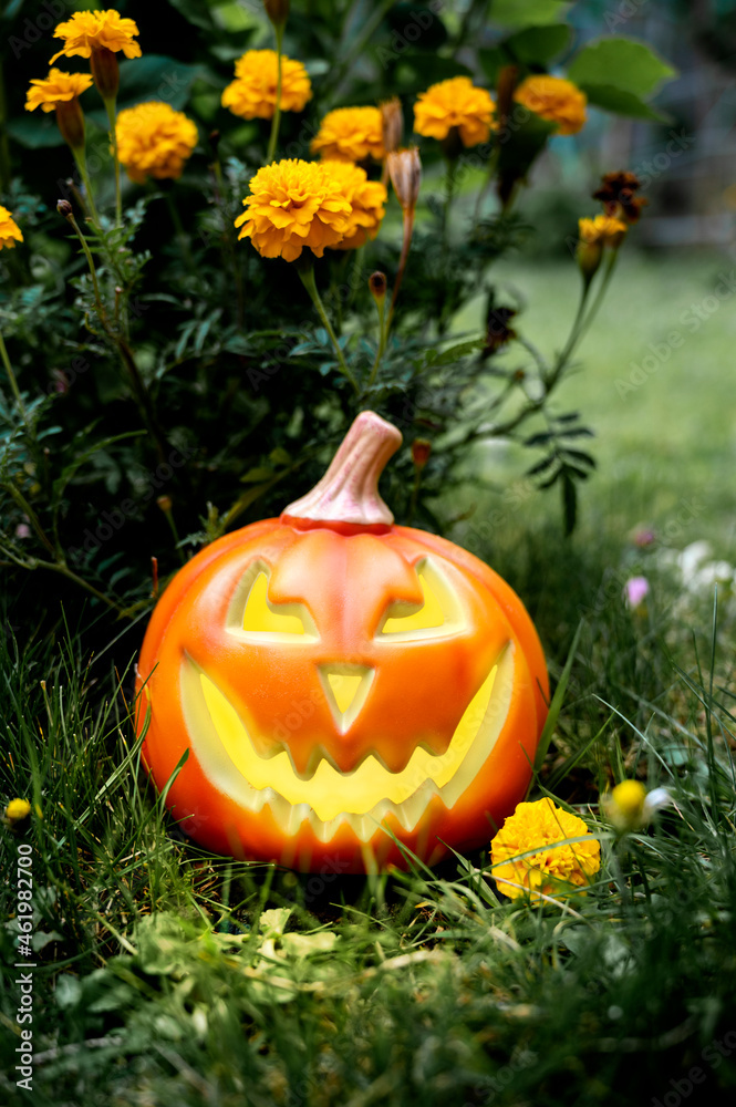 Halloween pimpkin, jack-o-lantern on festive background Halloween pimpkin, jack-o-lantern on festive background