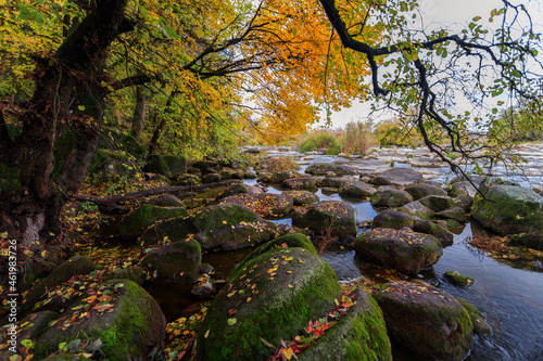 Fototapeta Naklejka Na Ścianę i Meble -  Autumn river bank with beautiful large stones, blue sky and trees
