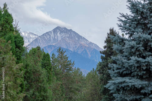 snow covered mountains Mountain view through spruce and pine trees. Mountain view from the Atakent Park in Almaty.