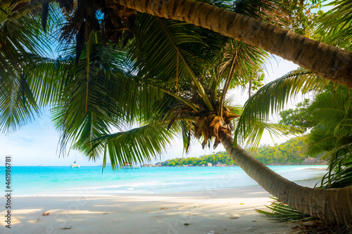 Fototapeta Naklejka Na Ścianę i Meble -  Anse Lazio - the most beautiful beach of Seychelles. Praslin, Seychelles