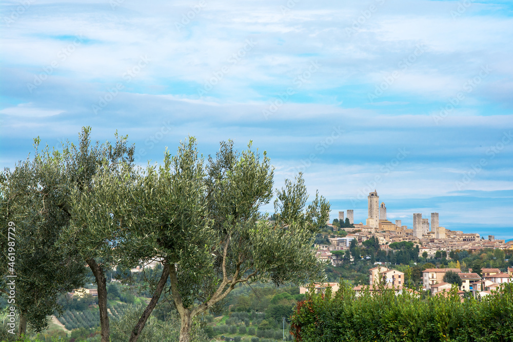 Blick auf San Gimignano hinter Olivenbaum