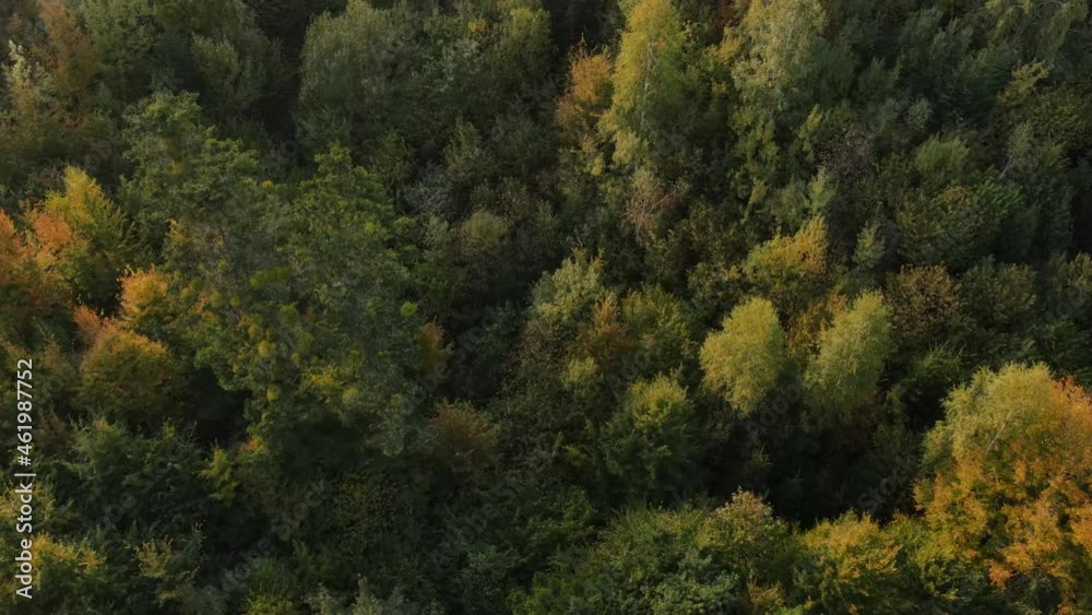 Fall in mountain landscape and incredible nature scenery. Drone flies over magestic beautiful autumn mixed forest with orange and green evergreens trees at calm sunny day Fall in mountain landscape and incredible nature scenery. Drone flies over magestic beautiful autumn mixed forest with orange and green evergreens trees at calm sunny day