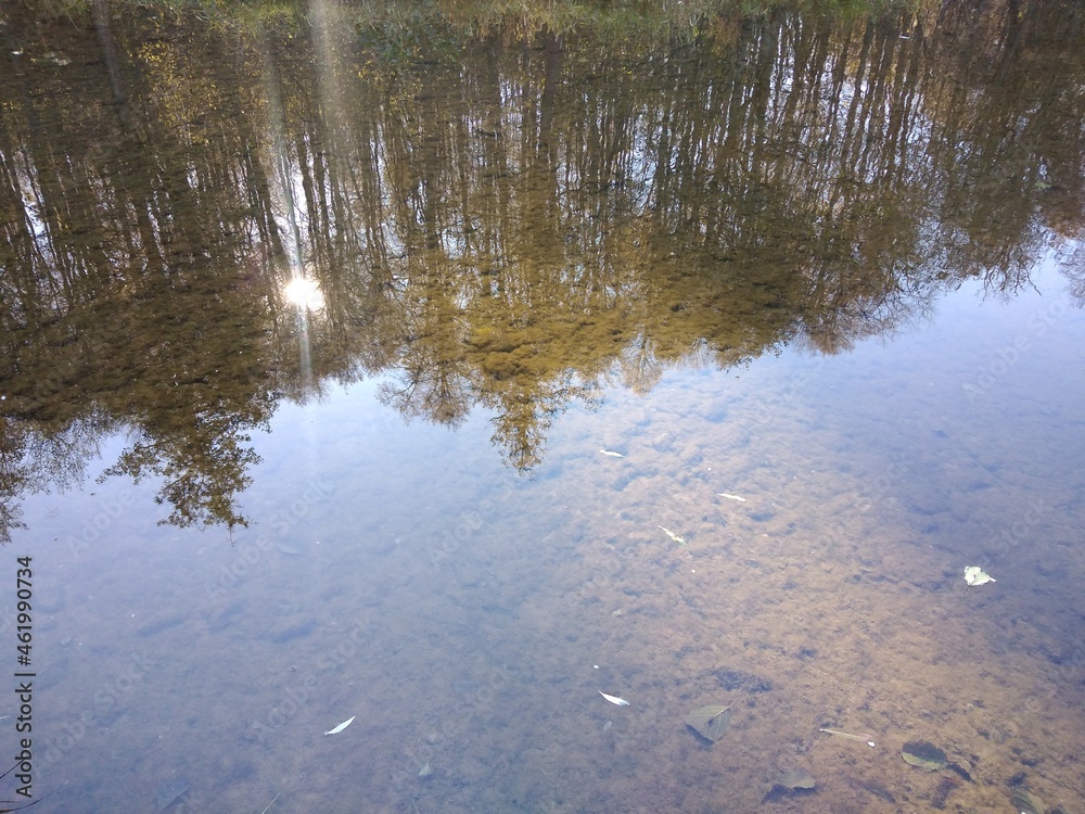 Fototapeta premium river in winter