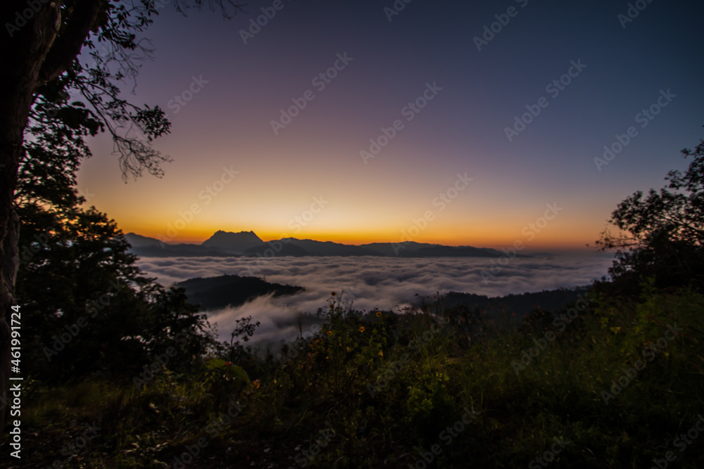 The fog and the first light of the day The fog and the first light of the day